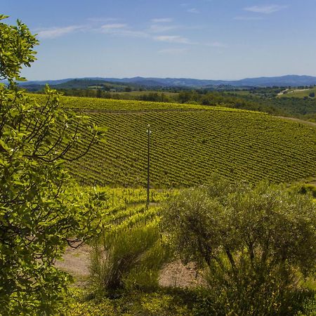 Fattoria Di Magliano Winery Villa Magliano in Toscana Rom bilde