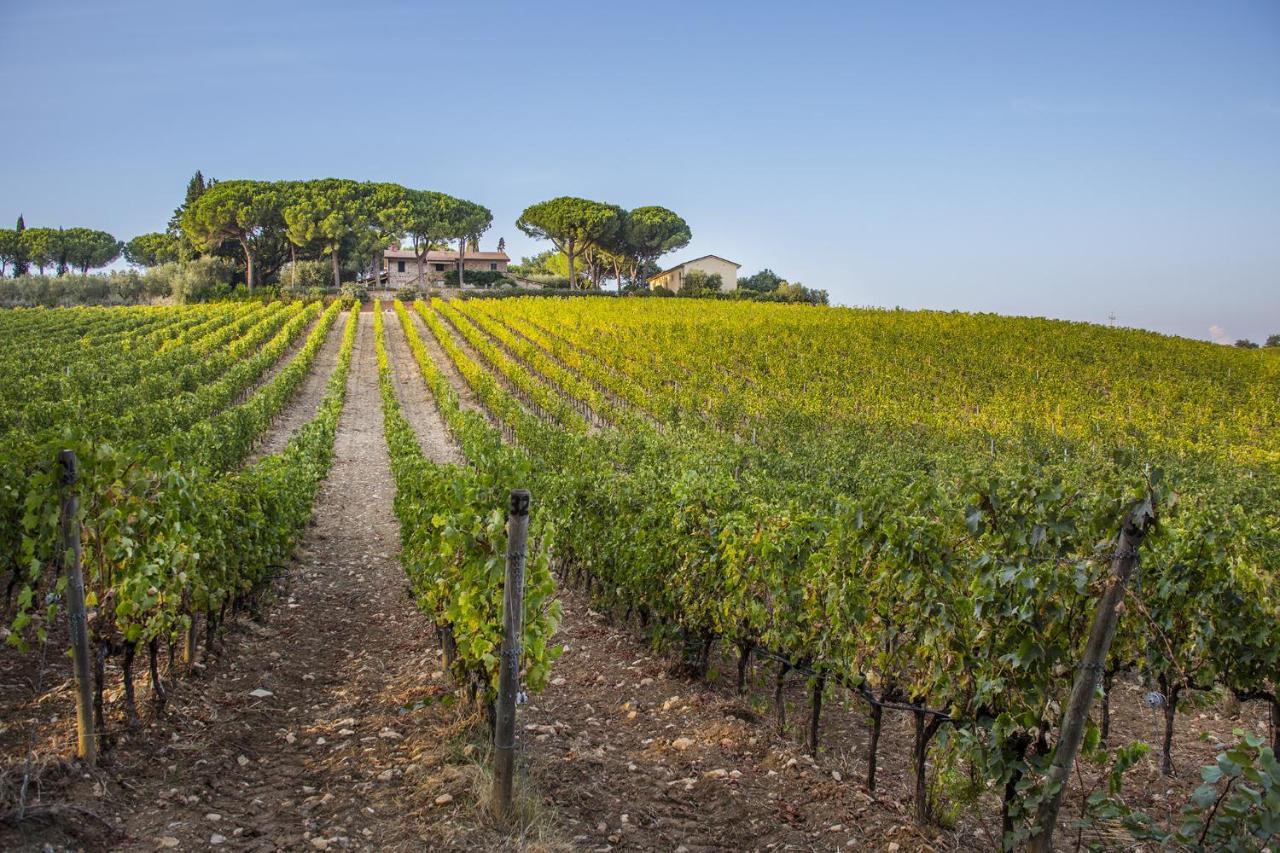 Fattoria Di Magliano Winery Villa Magliano in Toscana Eksteriør bilde