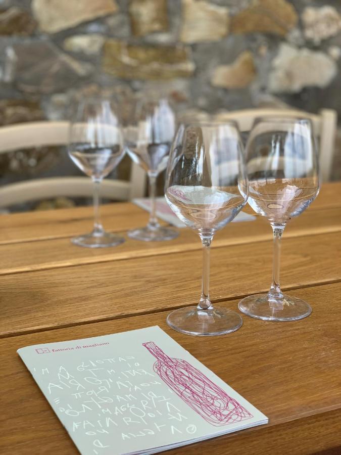 Fattoria Di Magliano Winery Villa Magliano in Toscana Eksteriør bilde
