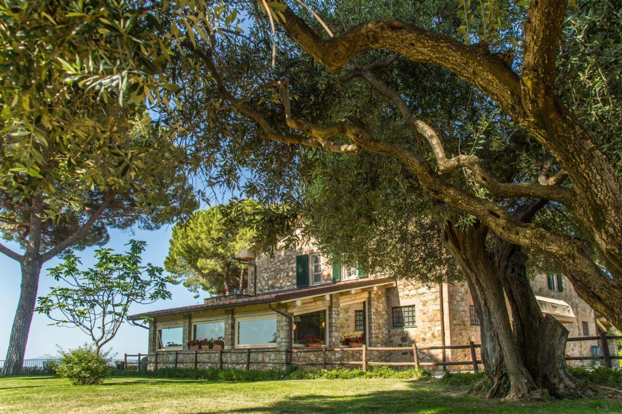 Fattoria Di Magliano Winery Villa Magliano in Toscana Eksteriør bilde