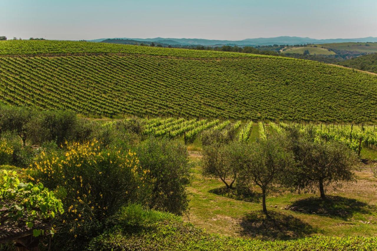 Fattoria Di Magliano Winery Villa Magliano in Toscana Eksteriør bilde